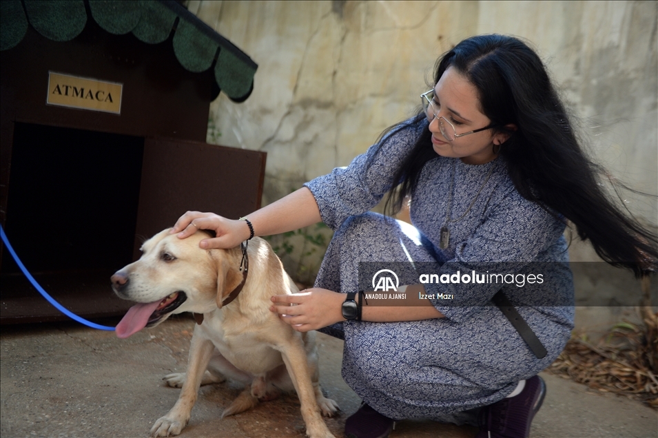 Oğullarını şehit verdikleri saldırıda gazi olan görev köpeği Atmaca'yı sahiplendiler