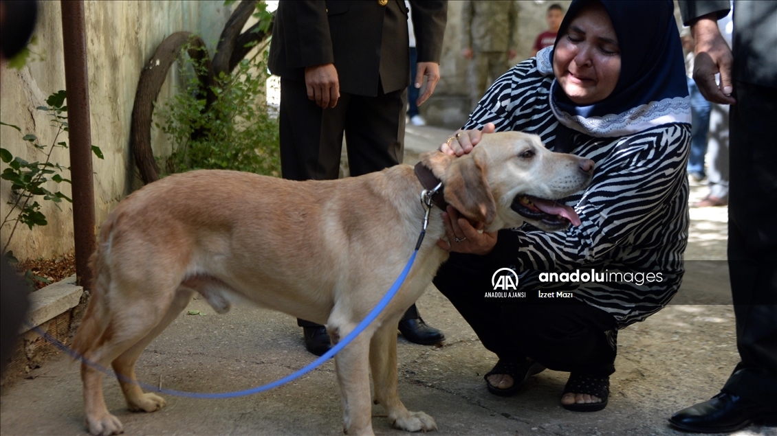Oğullarını şehit verdikleri saldırıda gazi olan görev köpeği Atmaca'yı sahiplendiler