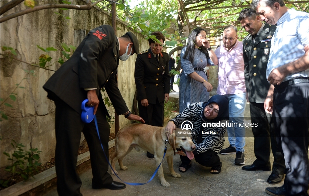 Oğullarını şehit verdikleri saldırıda gazi olan görev köpeği Atmaca'yı sahiplendiler
