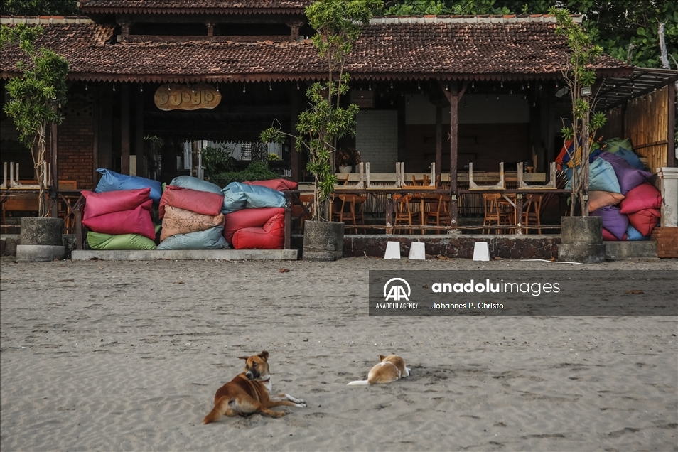 Pemerintah Bali tutup tempat wisata selama PPKM darurat