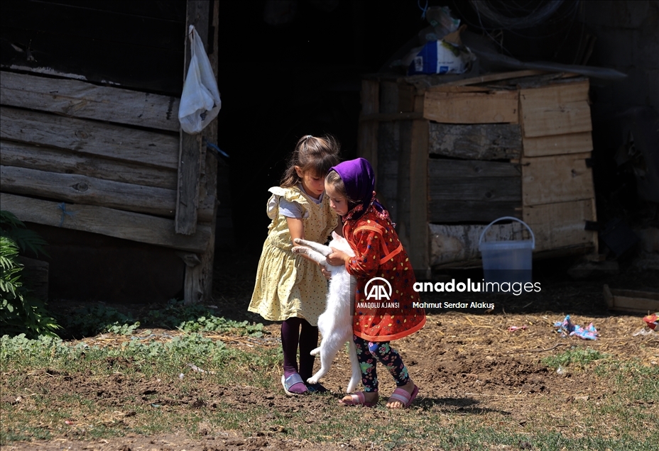 Kuzey Makedonya'nın yüksek kesimlerindeki Türk köylerinde yaşayan yörükler