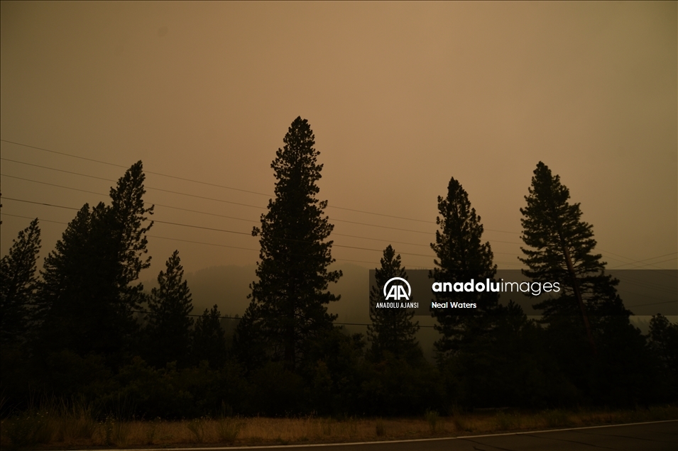 California'da devam eden orman yangınları