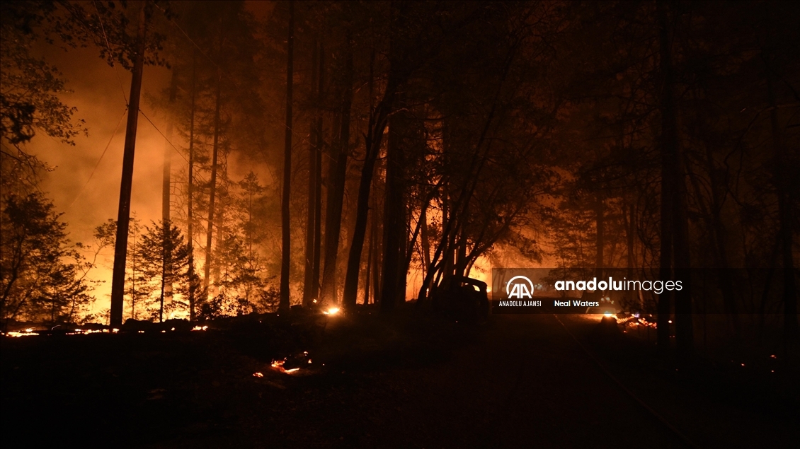 California'da devam eden orman yangınları