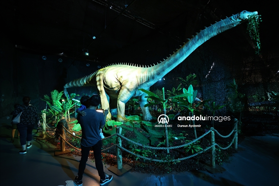 Brüksel’deki Dinozor sergisine ilgi devam ediyor 