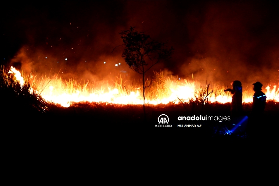 Kebakaran lahan gambut di Ogan Ilir, Palembang