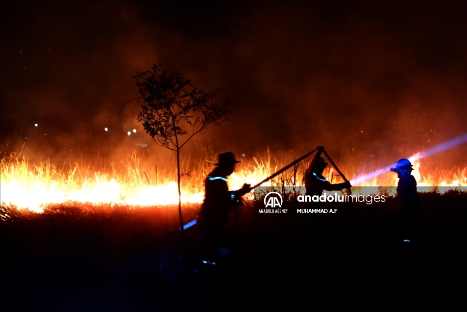 Kebakaran lahan gambut di Ogan Ilir, Palembang