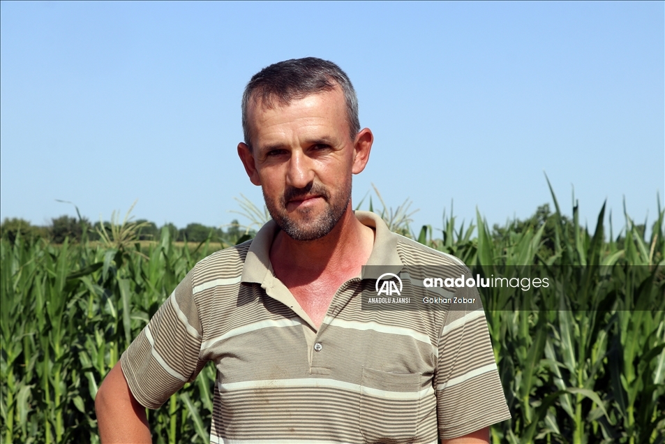 Edirne'de etkili sıcaklar nehirlerin su seviyesini düşürürken tarımsal üretimi de olumsuz etkiliyor