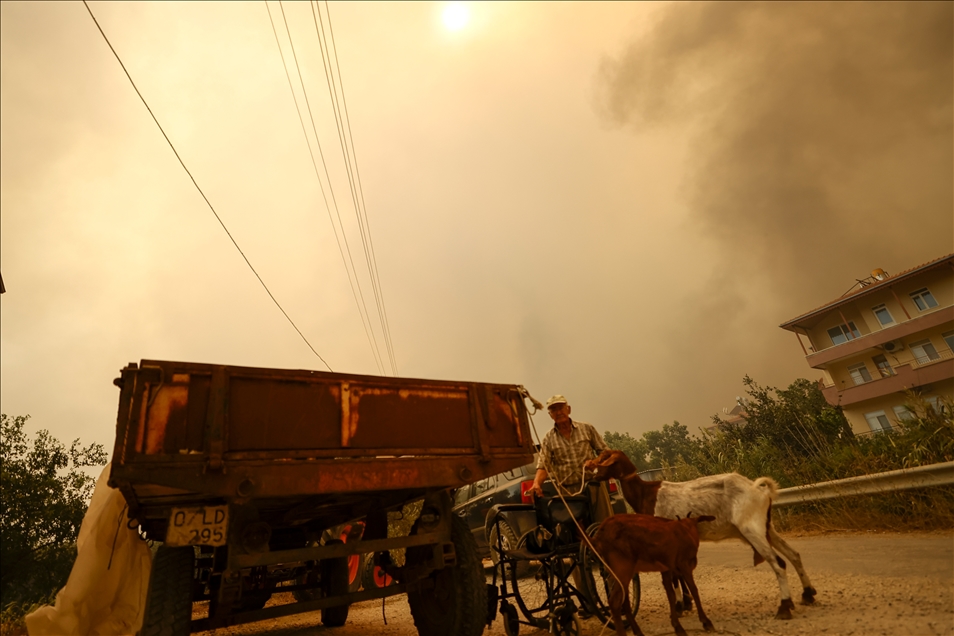 Antalya'da çıkan orman yangınına havadan ve karadan müdahale ediliyor