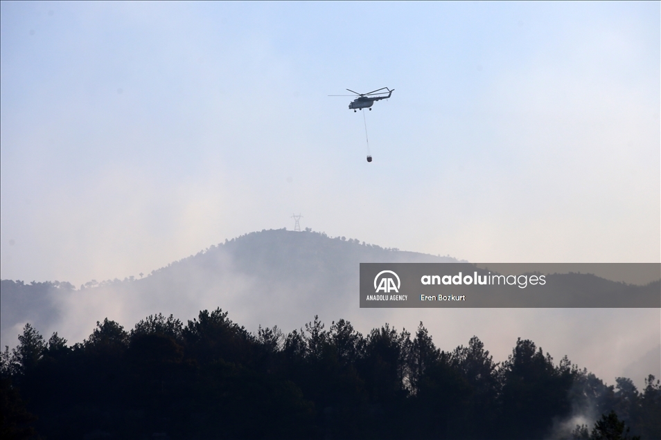 Forest fire in Turkey's Adana