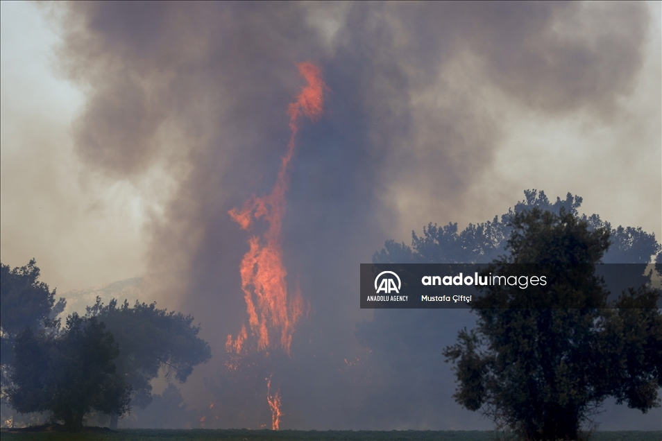 تركيا.. مصرع 3 أشخاص جراء حرائق غابات بأنطاليا