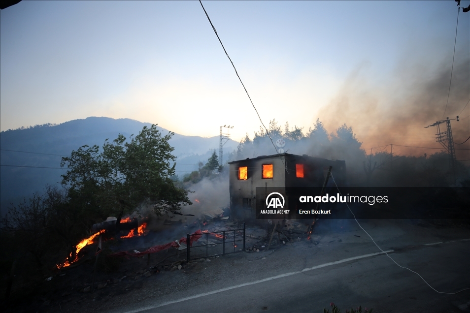 Forest fire in Turkey's Adana