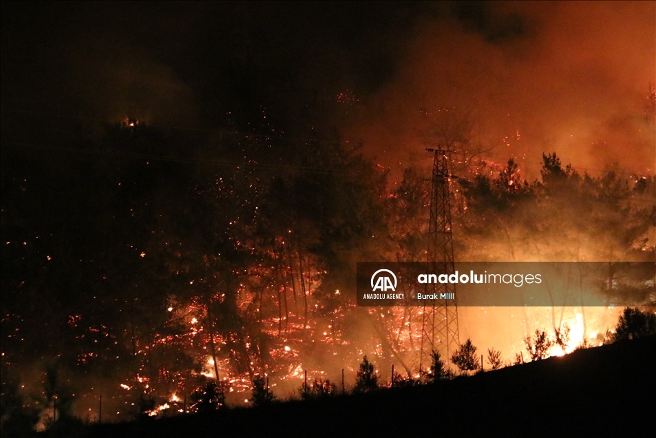 Forest fire in Turkey's Osmaniye