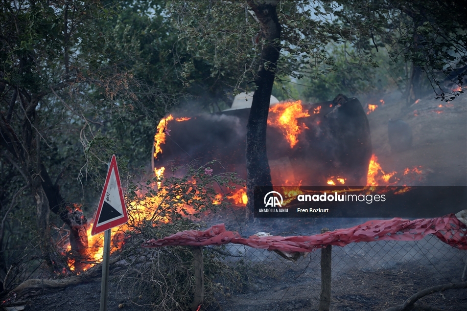 Adana'daki orman yangınına havadan ve karadan müdahale yeniden başladı