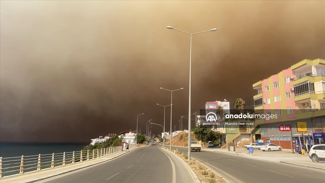 Forest fire in Turkey's Mersin