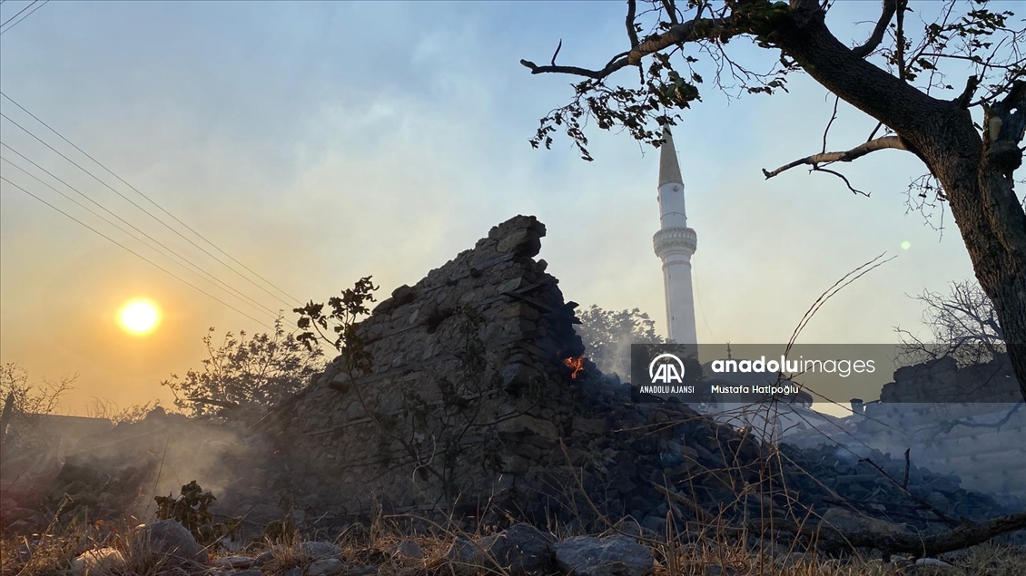 Antalya'nın Akseki ilçesinde orman yangını çıktı