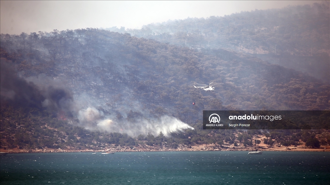 Mersin'in Silifke ilçesinde çıkan orman yangınına müdahale ediliyor