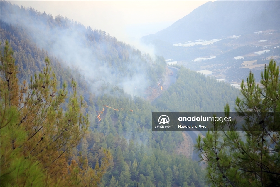 Forest fire in Turkey's Mersin