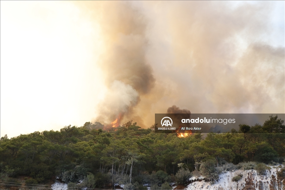 Marmaris'te çıkan orman yangınına müdahale ediliyor