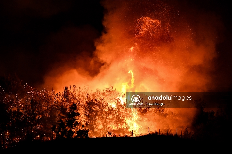 Forest fire in Turkey's Osmaniye