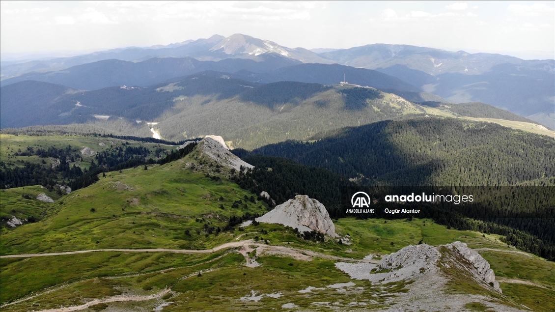 Ilgaz Dağı kışın kayakçıları, yazın serinlemek isteyen doğaseverleri ağırlıyor