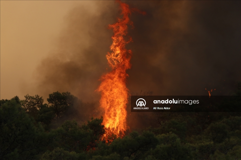 Marmaris'te çıkan orman yangınına müdahale ediliyor