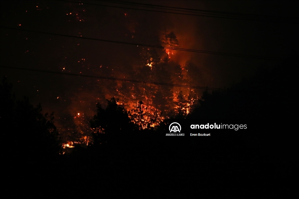 Adana'daki orman yangınına havadan ve karadan müdahale yeniden başladı