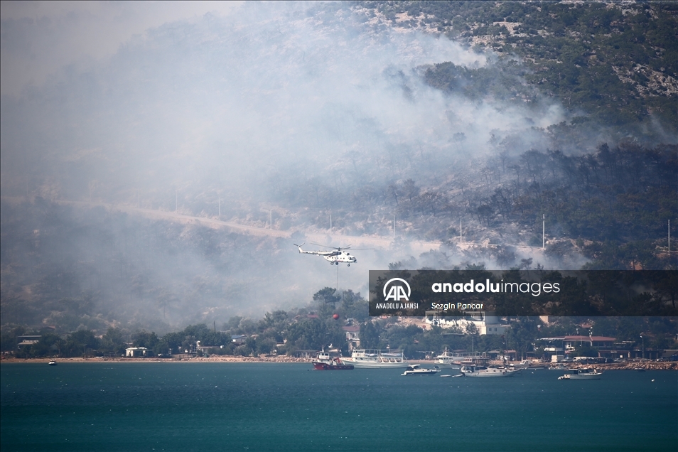 Mersin'in Silifke ilçesinde çıkan orman yangınına müdahale ediliyor