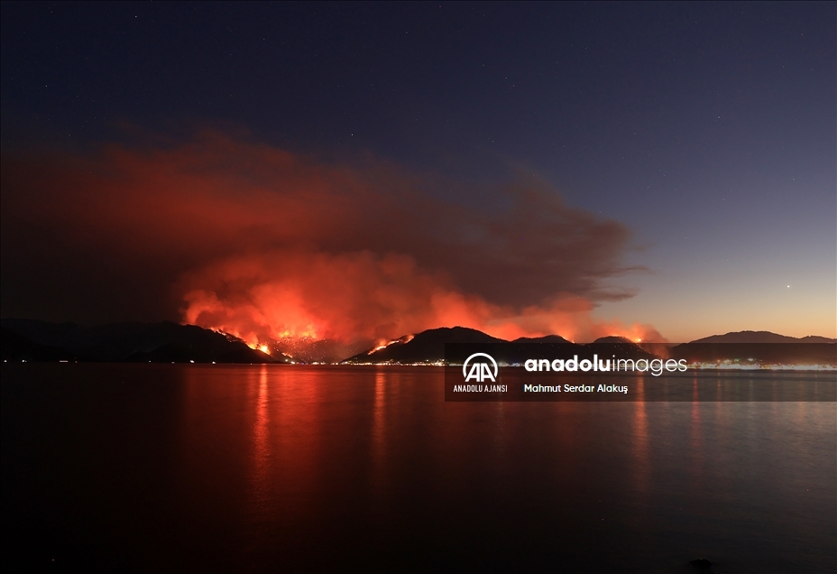 Marmaris'te orman yangını