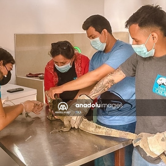 Turkey supports work to preserve biodiversity in Peru