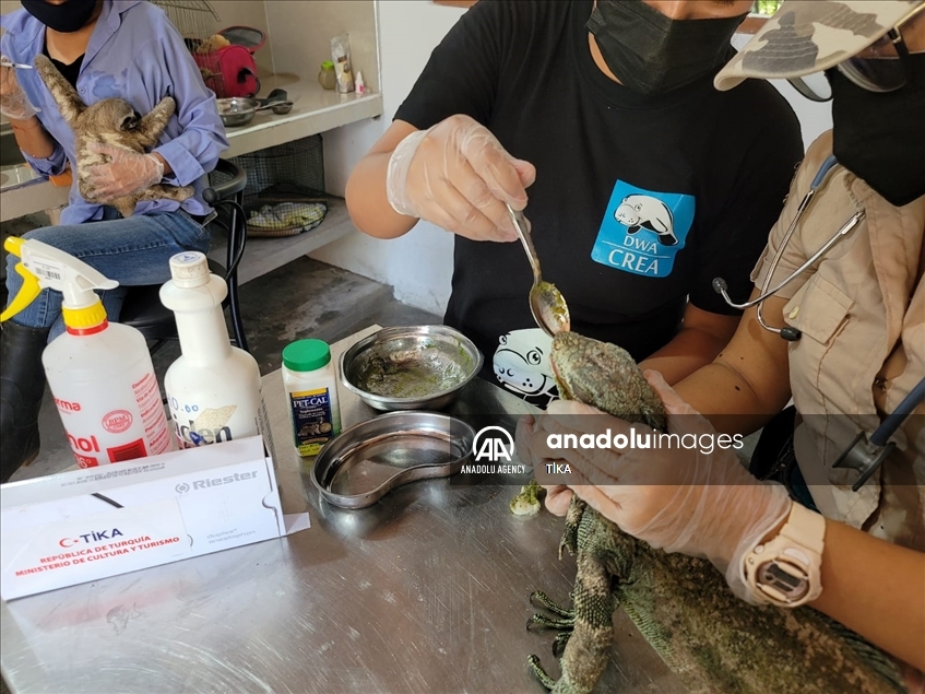 Turkey supports work to preserve biodiversity in Peru