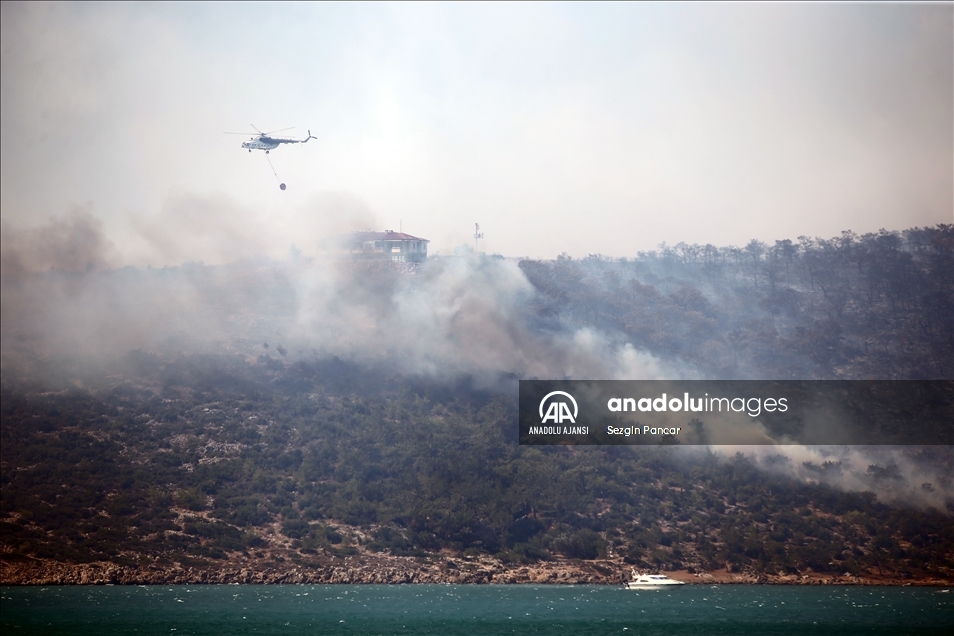 Mersin'in Silifke ilçesinde çıkan orman yangınına müdahale ediliyor