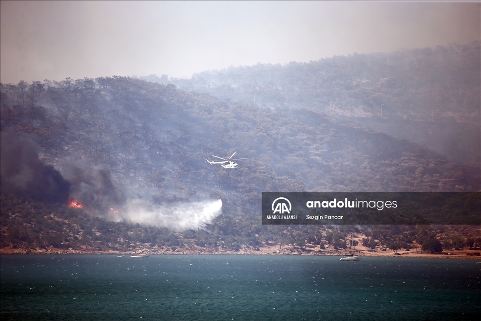Mersin'in Silifke ilçesinde çıkan orman yangınına müdahale ediliyor