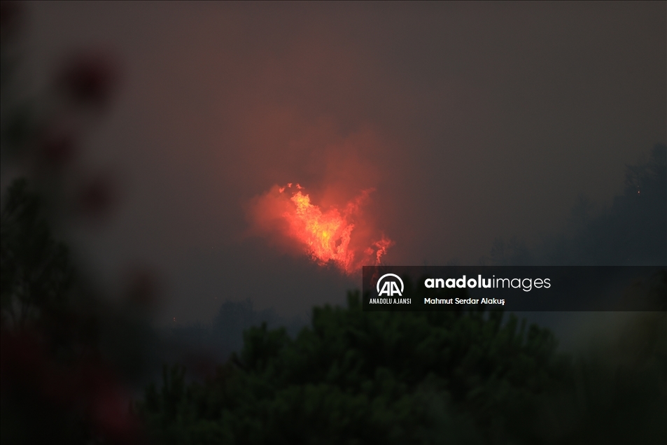 Marmaris'te orman yangını
