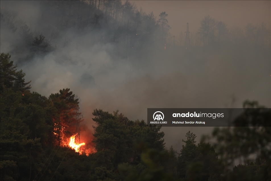 Marmaris'te orman yangını