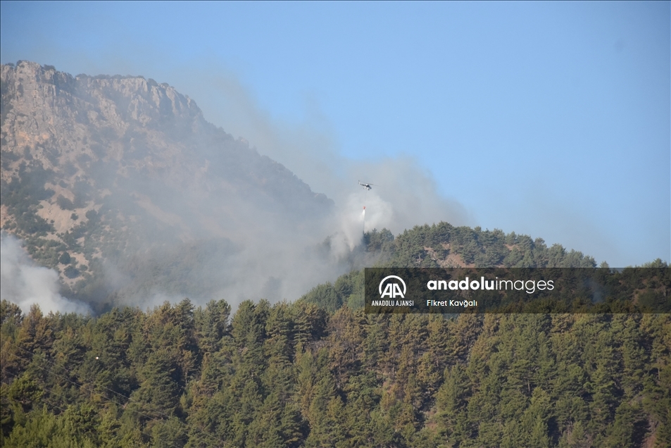 Adana Kozan'daki orman yangınına müdahale sürüyor