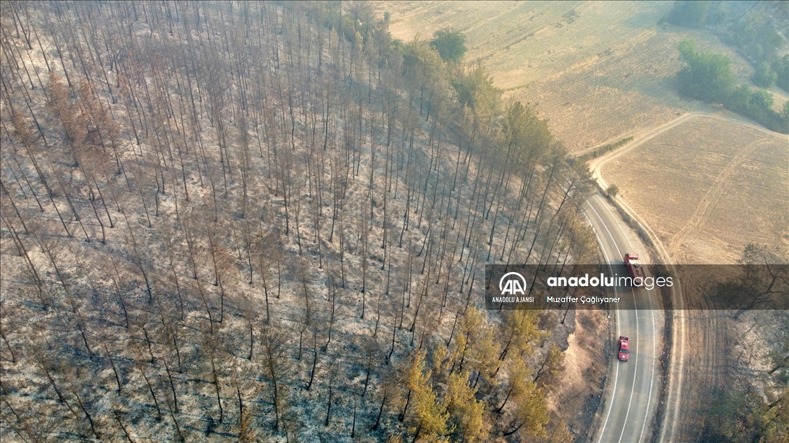 Osmaniye'deki orman yangınına müdahale ediliyor