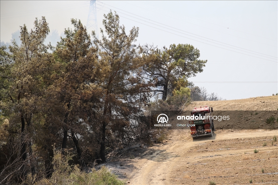 Manavgat'daki orman yangını