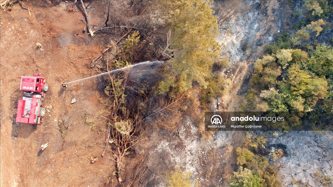 Osmaniye'deki orman yangınına müdahale ediliyor