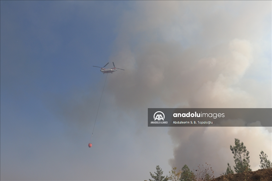 Adana Aladağ'daki orman yangınına müdahale ediliyor