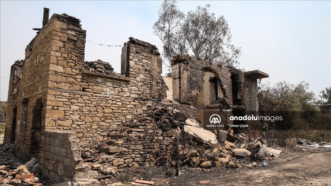 Manavgat'daki orman yangını