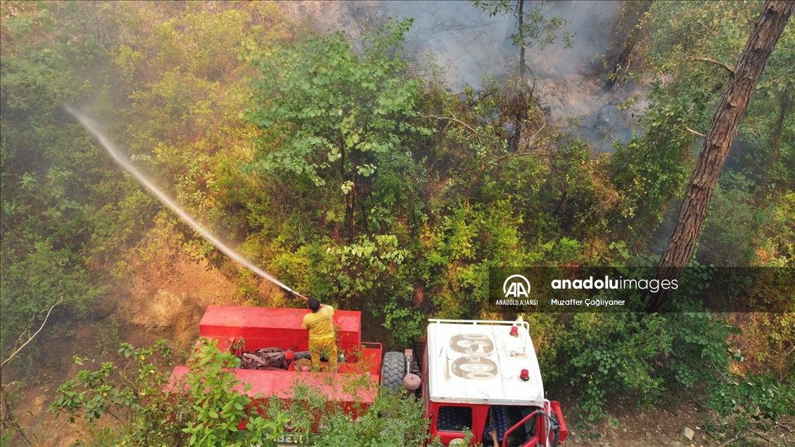 Osmaniye'deki orman yangınına müdahale ediliyor