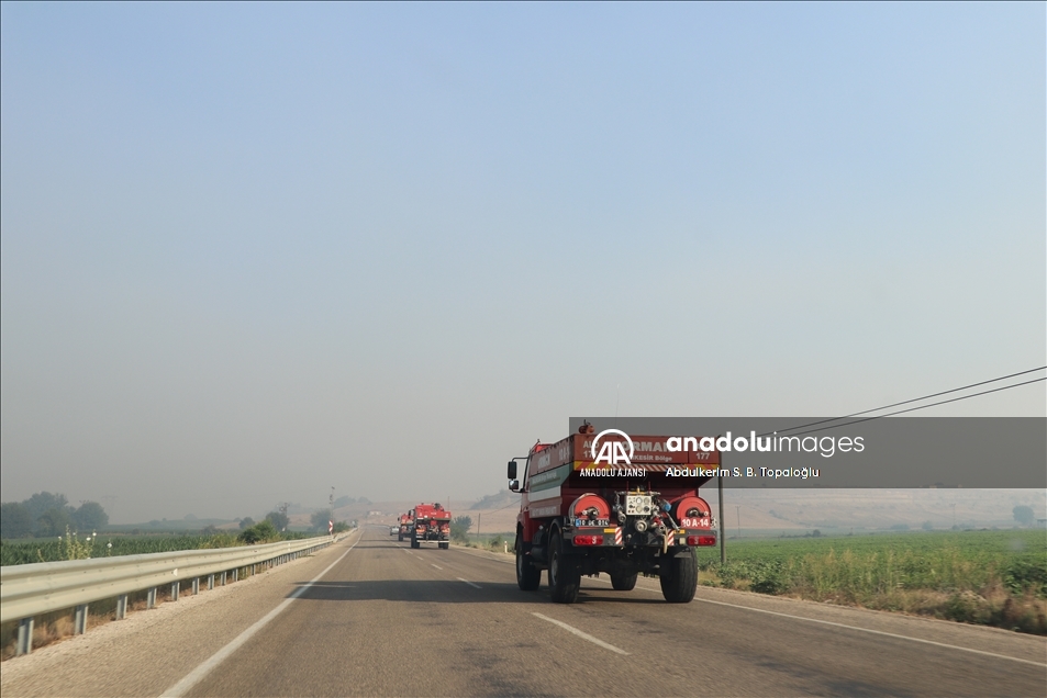 Adana Aladağ'daki orman yangınına müdahale ediliyor