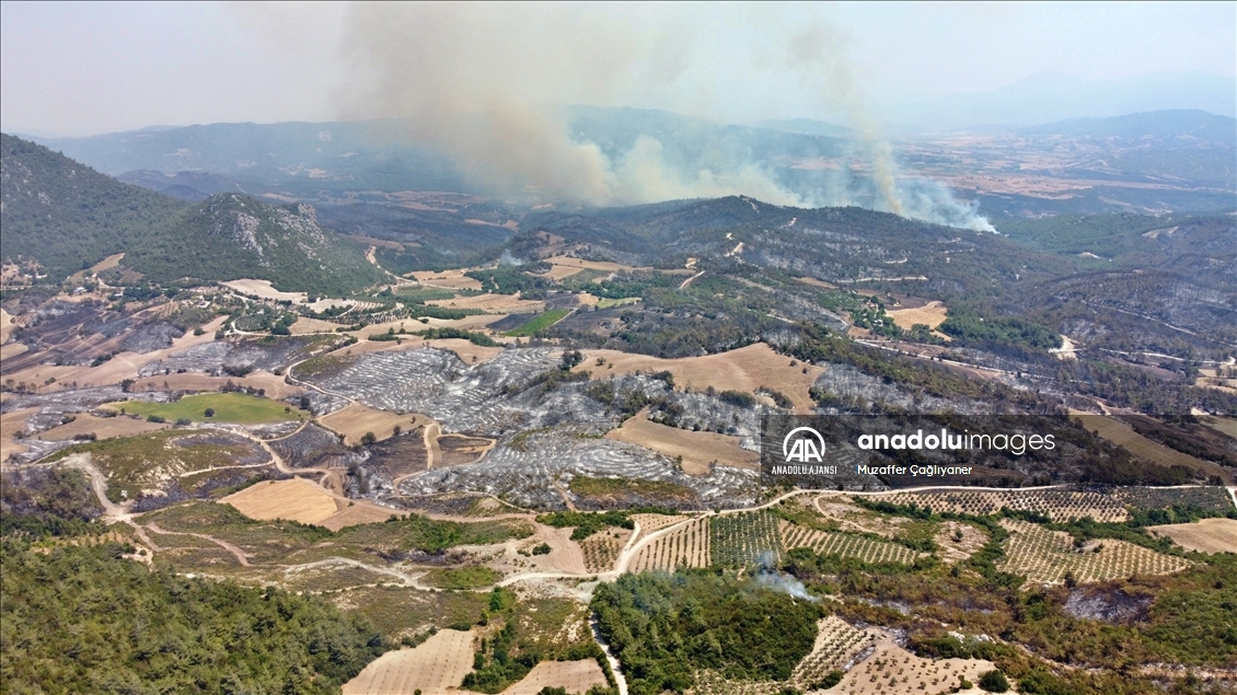 Osmaniye'deki orman yangınına müdahale ediliyor