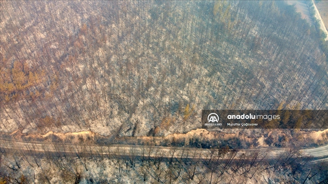 Osmaniye'deki orman yangınına müdahale ediliyor