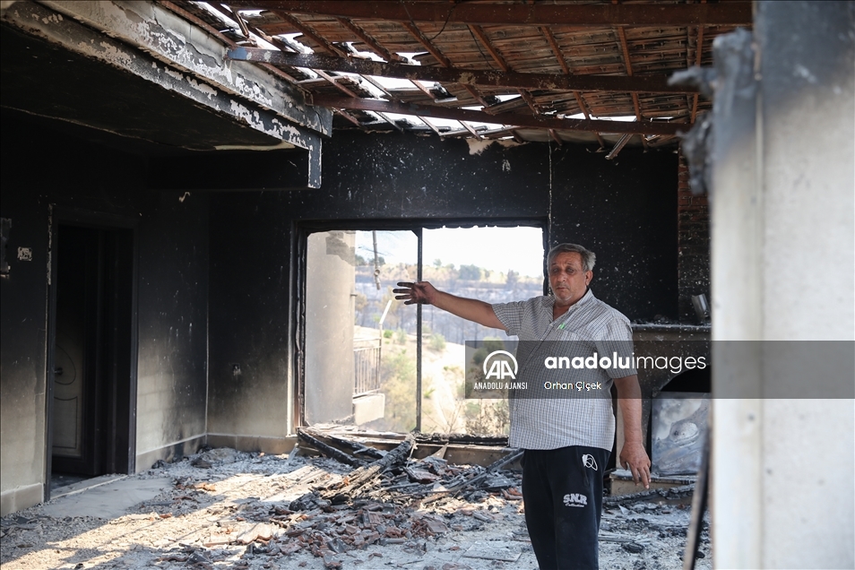 Manavgat'daki orman yangını