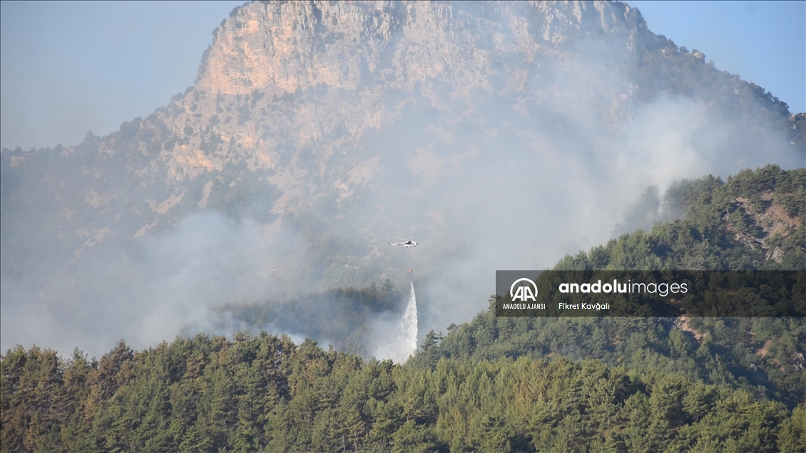 Adana Kozan'daki orman yangınına müdahale sürüyor