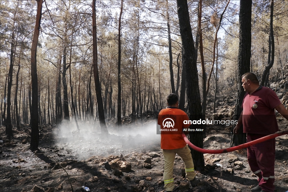 Muğla'nın Fethiye ilçesindeki orman yangını kontrol altına alındı
