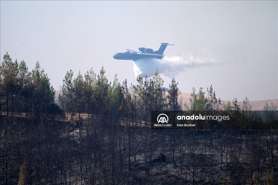 Adana Aladağ'daki orman yangınına müdahale ediliyor