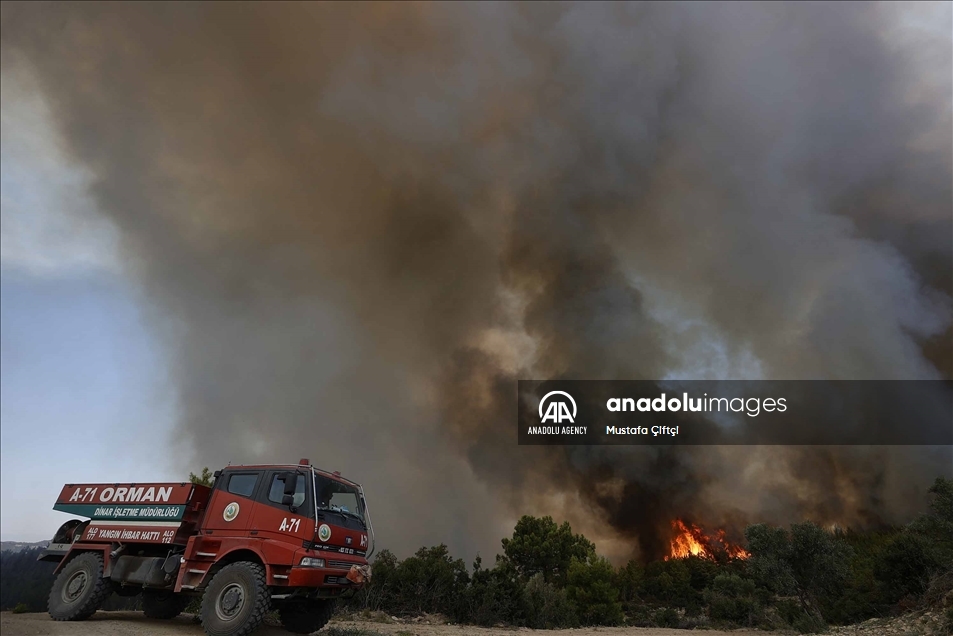 Continúa la lucha terrestre y aérea contra los incendios forestales en Turquía