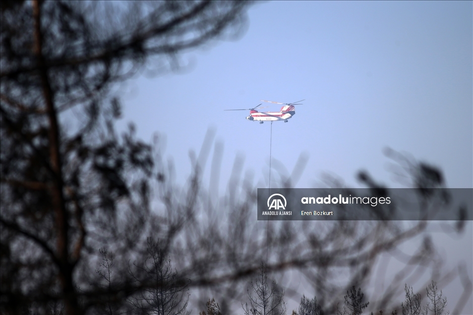 Adana Aladağ'daki orman yangınına müdahale ediliyor